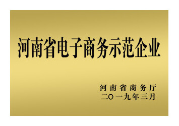 易赛诺荣获河南省电子商务示范企业