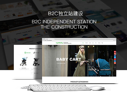 B2C独立站建设